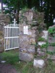 DSC01778, IRON GATE & STEPS TISAXON, CORK.JPG